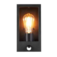 90192 Sylvania SYLWALL LUMINA E27 LED Bulbs 1 W, Bulb shapeSylvania