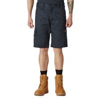 DK0A867P0DN1, Dickies