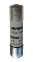 D1017201 / FR14GR69V12, Mersen