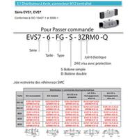 EVS7-6-FG-D-3ZRM0-X51-Q, SMC