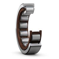 AS 6590, SKF