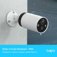 Tapo C420