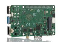 RS117-D2P1