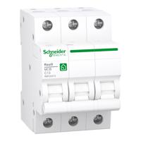 R9F24313, Schneider Electric
