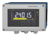 RIA46-A1B1A, Endress+Hauser