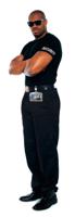 8005-19 Durable Transparent Acrylic Security Badge