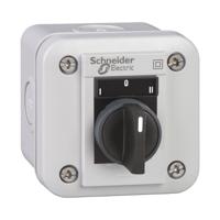 XALE1333 Schneider Electric Push Button Control Station - SPDT, Polycarbonate, 1 Cutouts, Black, IP54