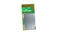 BM20SPKS1NBC-0001AA, Microchip