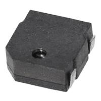 CMT-0502-75-SMT-TR, Same Sky