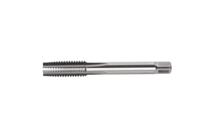 E559UNC1/2NO1, Dormer