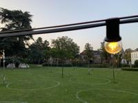 Work Lights
