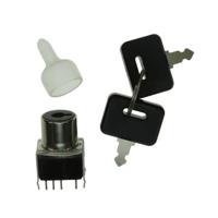 SK24DG13 NKK Switches