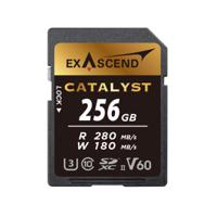 EX256GSDV60, Exascend