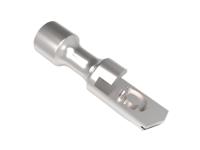 53446-1, TE Connectivity