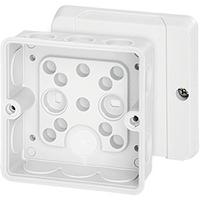 DE 9321, Hensel