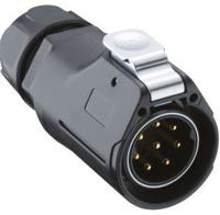 0254 03 Lumberg Circular Connector, 3 Contacts, Cable, Plug, Male, IP67, 02 Series