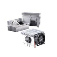 CLA-T247-21E, Arcol Ohmite