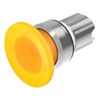 45-2631.29G0.000, Eao