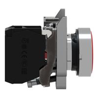 Push Button Switches