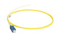 PIGSC2OS2, CAE Multimedia Connect