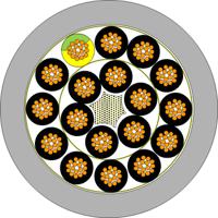 1571818509, Molex