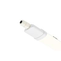 LED Bulbs