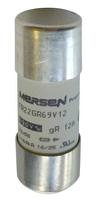 F1018560 / FR22GR69V100, Mersen
