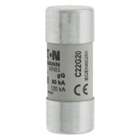 C22G20