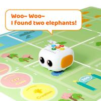 STEM Robot Kits