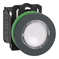 XB5FW31M5 FLUSH MOUNT WHITE ILL PB LED 1NO1NC