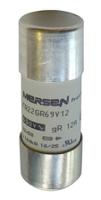 F1018629 / FR22GR69V100T, Mersen