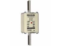 E201346 Mersen 315A NH Fuse, NH2, 500V ac