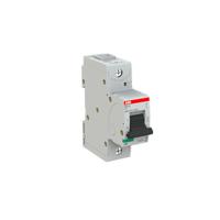 2CCS861001R0204, Abb