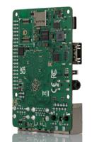 RS112-D2W2P1