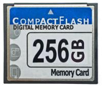 Seeit CompactFlash Industrial 256 GB SLC Compact Flash Card