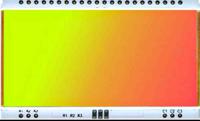 Display Visions Yellow-Green, Red Display Backlight, LED 66 x 40mm