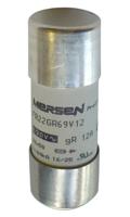 D1018627 / FR22GR69V63T, Mersen