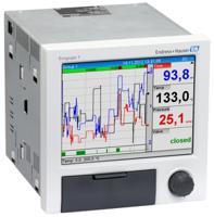 RSG35-D1C, Endress+Hauser