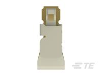 ET100215994