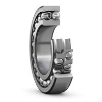 2313 K, SKF