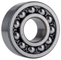 2306, SKF