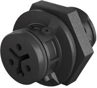 41-031-4043-9 Wieland RST 08i2/3 Series, Female 3 Pole Female Connector, Panel Mount, Rated At 8A, 250 V, 400 V