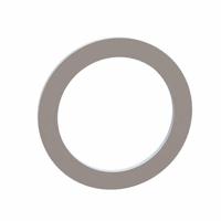 17W07821 Essentra Components -  - Flat Washer - 590 ID x 778 OD - MicroPlastics, FW - Nylon - 0.032in (0.81mm)
