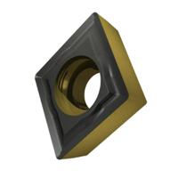 CCMT 080304E-NF2:T9415, Dormer