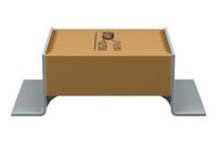 B58031U9254M062, EPCOS