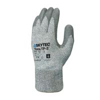 TNS0404, Skytec