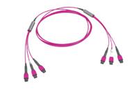 FLW24M4-MFMF3M-18.0M, HellermannTyton Connectivity