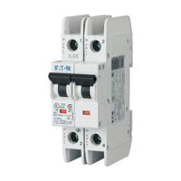 102232 FAZ-D25/2-RT, Eaton