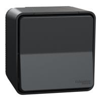MUR35026