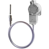 TCS2CC-CADB-EASZZZZCZZZ, WIKA